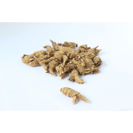 加種原尾泡2號-5F (每両)